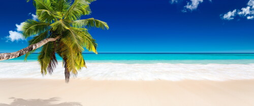 backgrounds475209049f12842ba44.jpg