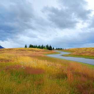 landscape1486cc24799d825a6b3