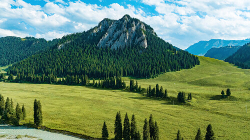 mountain-beautiful-forest-scenery-4k-wallpaper-uhdpaper.com-1360i17787d297a8a63f5.jpg