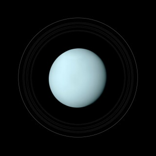 space423f9fc20ae5eb8630