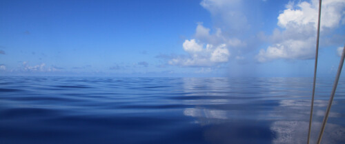 backgrounds2130d3618e862a9e5d.jpg