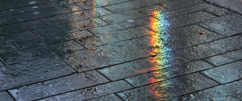 backgrounds22aeb3c5fe58c1ce73.jpg