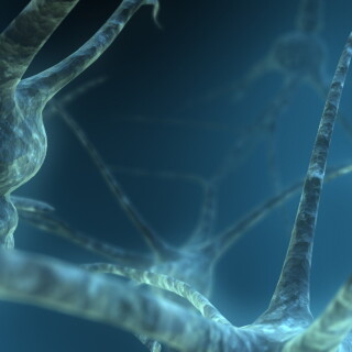 backgrounds24232f600431ecd5610