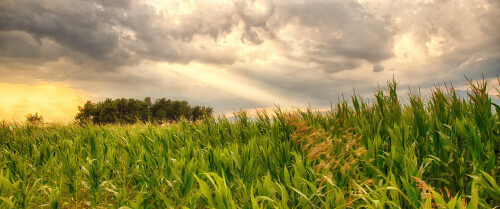 backgrounds28a45bc488d0f94589.jpg