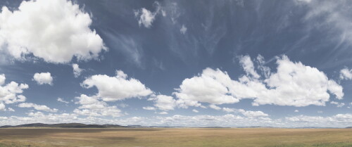 backgrounds3105320e12269673f42.jpg