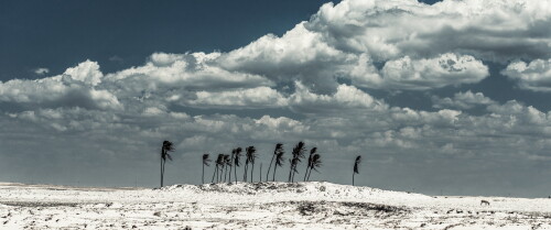 backgrounds447e6dbd5177e94de92.jpg