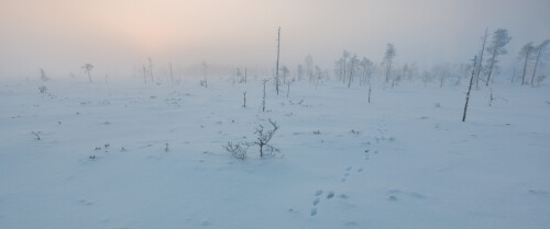 landscape1060df14d0d9ec2f0a1.jpg