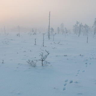 landscape1060df14d0d9ec2f0a1