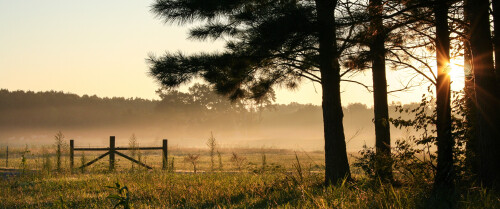 landscape126c34cd6a01b544caf.jpg