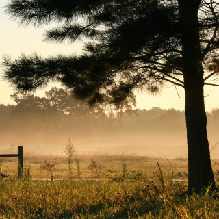 landscape126c34cd6a01b544caf