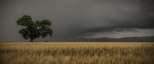 landscape13cac8b0d5f5ddc399.jpg