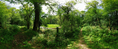 landscape148a7de3ea32e92368.jpg