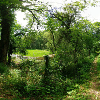 landscape148a7de3ea32e92368