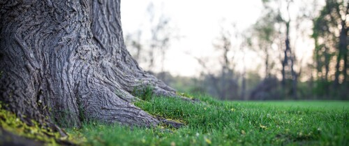 landscape4095144608782bfacb.jpg