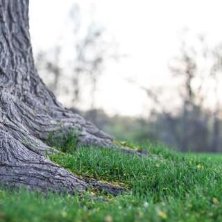 landscape4095144608782bfacb