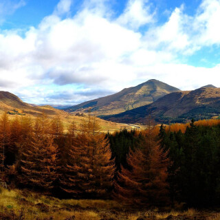 landscape410bb843ac38b50b4d
