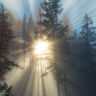landscape58ae24e0b3aa373b2c