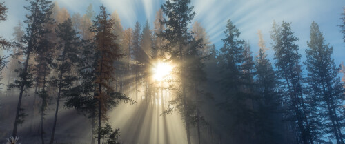 landscape630e0b6f71d38064c2.jpg