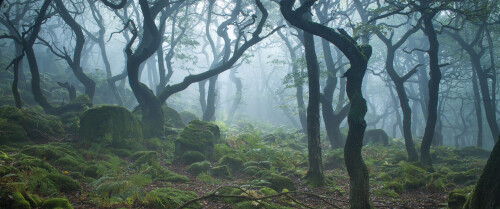 landscape6720c2a42f7ec6d70d.jpg