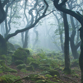 landscape6720c2a42f7ec6d70d
