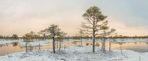landscape72756c5081d9ea5b4e.jpg