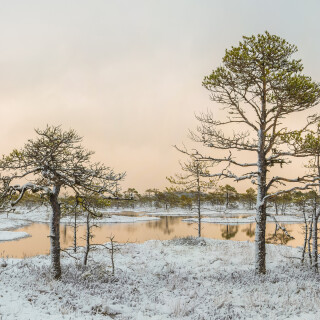 landscape72756c5081d9ea5b4e