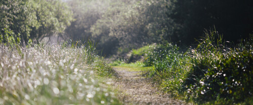 landscape88b4b59113579415be.jpg