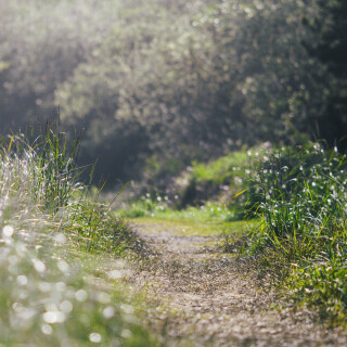 landscape88b4b59113579415be